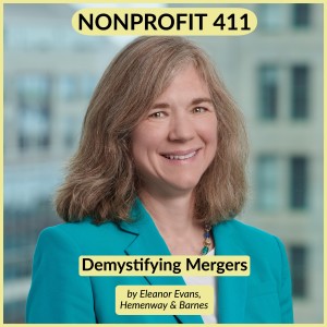 Nonprofit 411 H&B-min